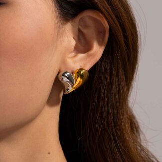 boucles-oreilles-coeur-bicolore.webp
